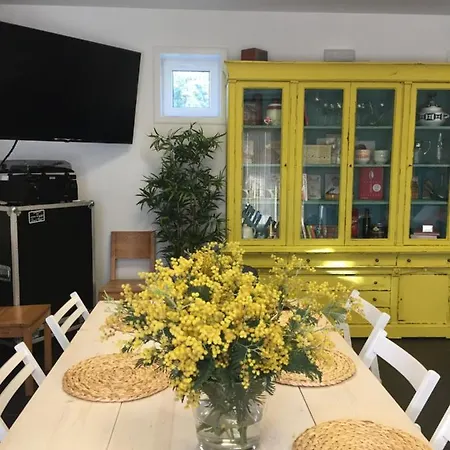 Casa Acougo, فندق مبيت وإفطار ساريا