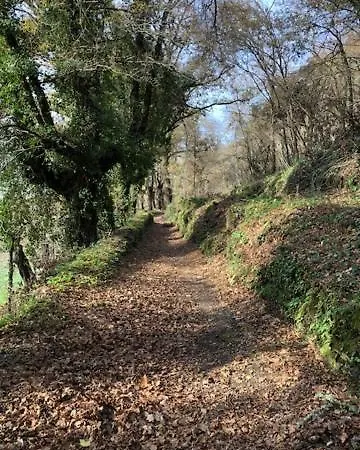 Bed and breakfast Casa Acougo, Sarria