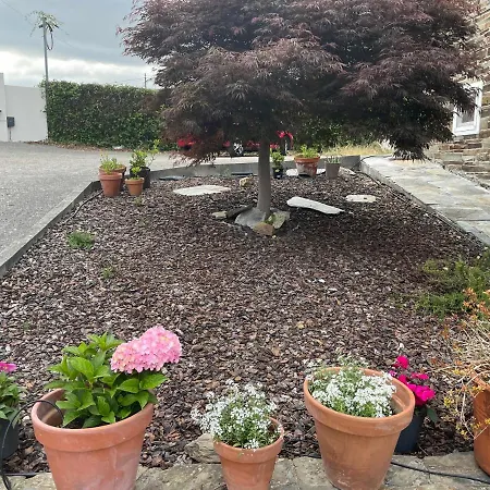 Casa Acougo, Bed and breakfast