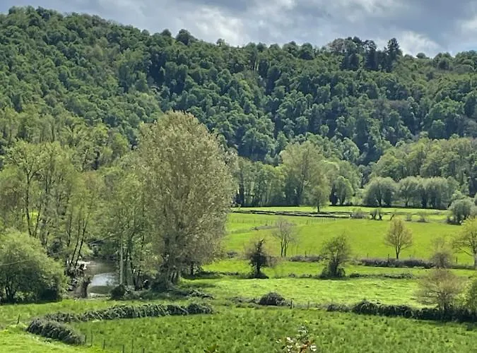 Casa Acougo, サリア