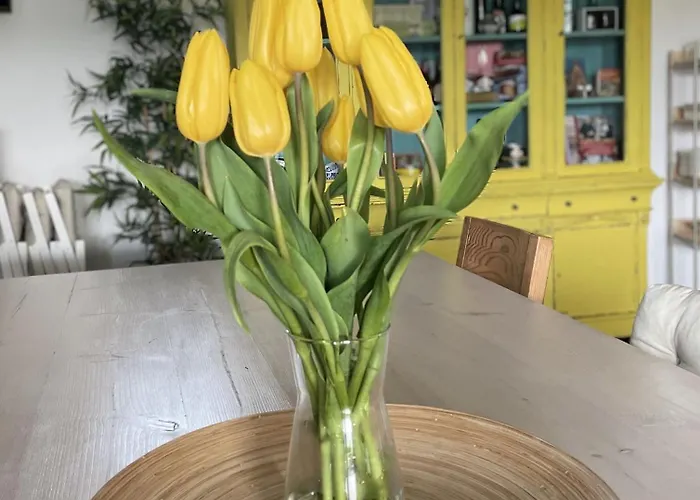 ベッド・アンド・ブレックファスト Casa Acougo, 3*